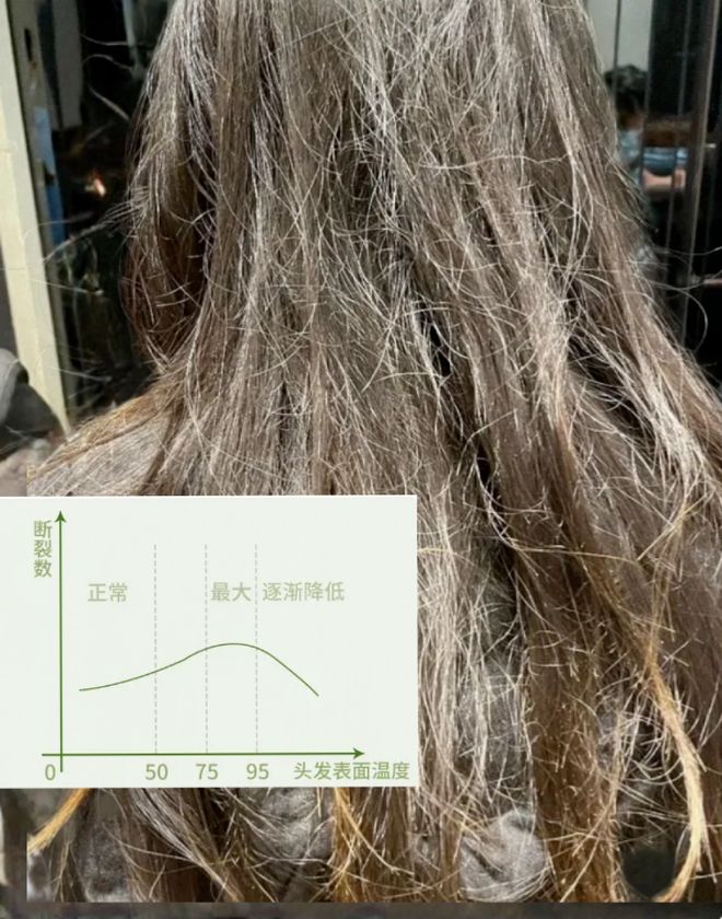 吹风机就不配有一头秀发了？pg电子入口用不起好几千的(图3)